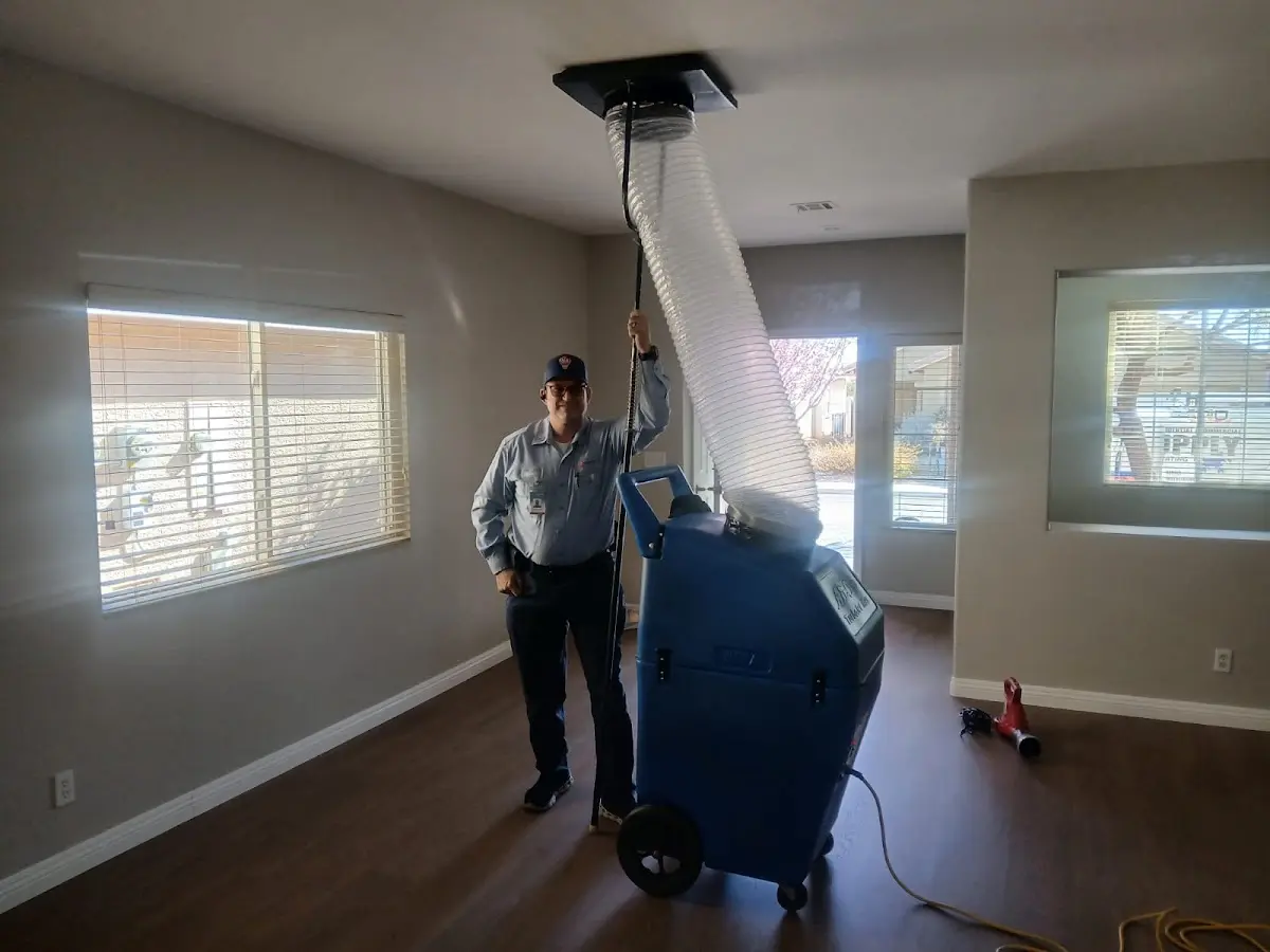 Professional Dryer Vent Cleaning work inside a Hyde Park home